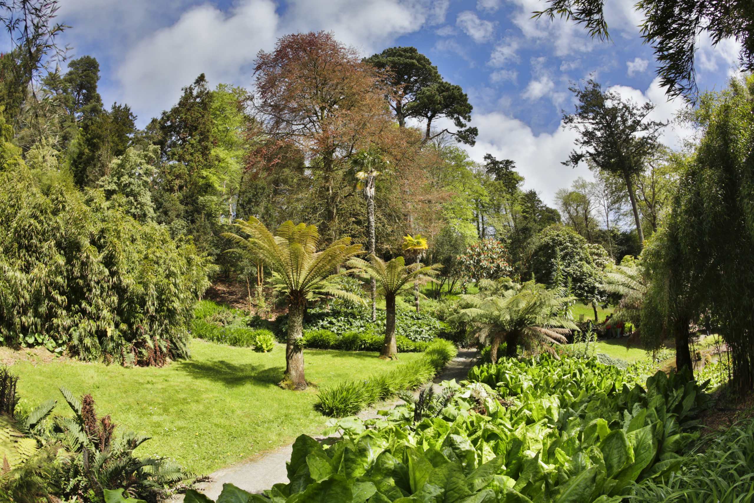 Best Gardens in Cornwall The Alverton Hotel, Truro