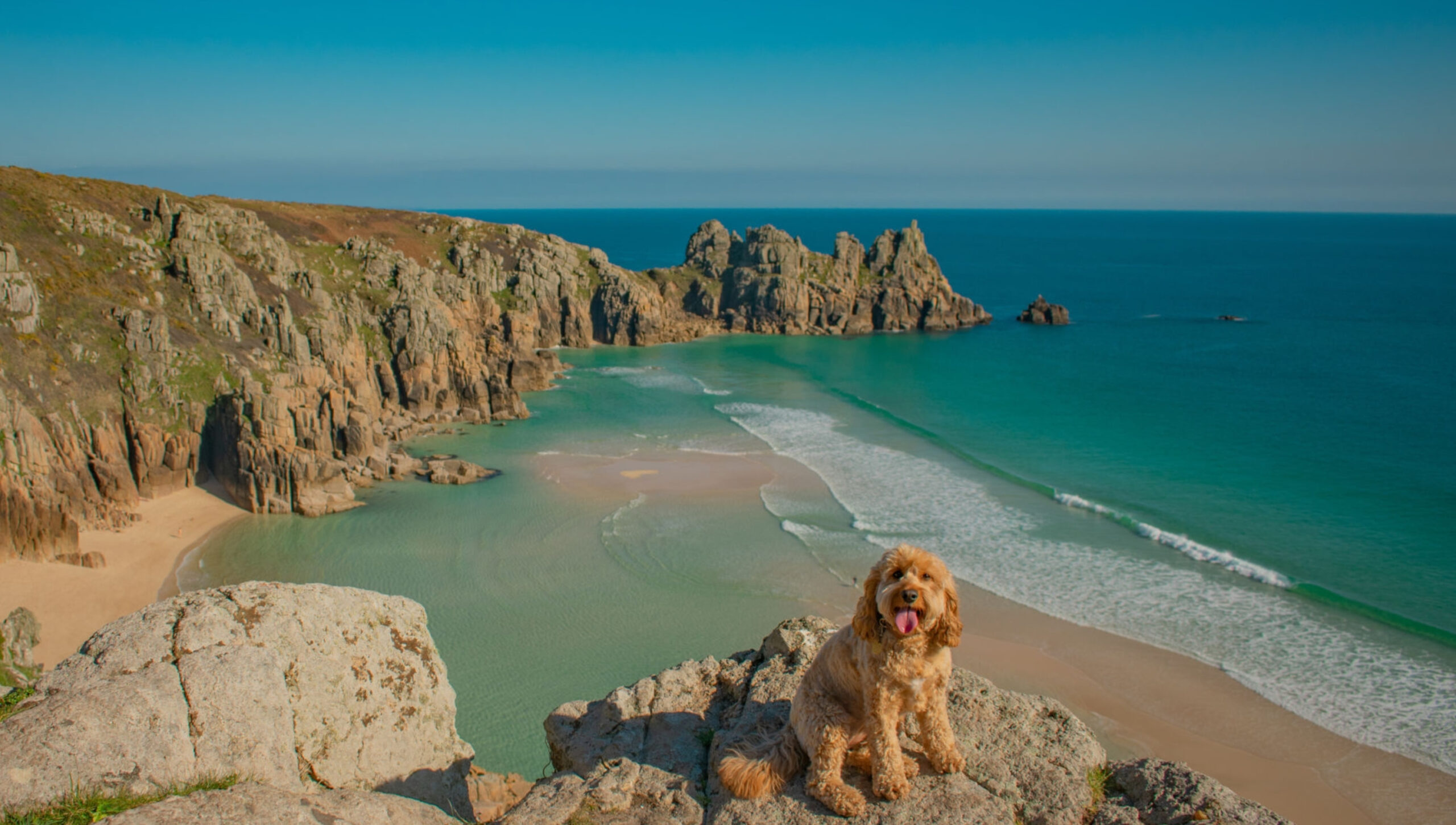 Top ten dog friendly beaches in Cornwall | The Alverton Hotel, Truro